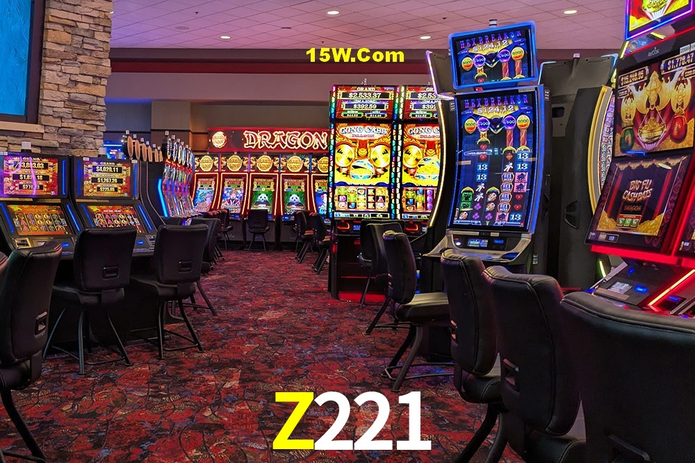 Secure Login Z221